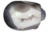 Polished Agate Skull with Quartz Crystal Pocket #148100-3